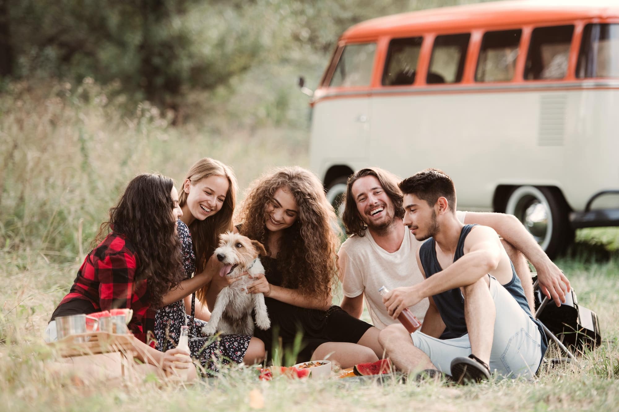 A group of young friends with a dog sitting on grass on a roadtrip through countryside.