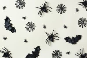 Halloween greeting card with bats, spiderweb and spider